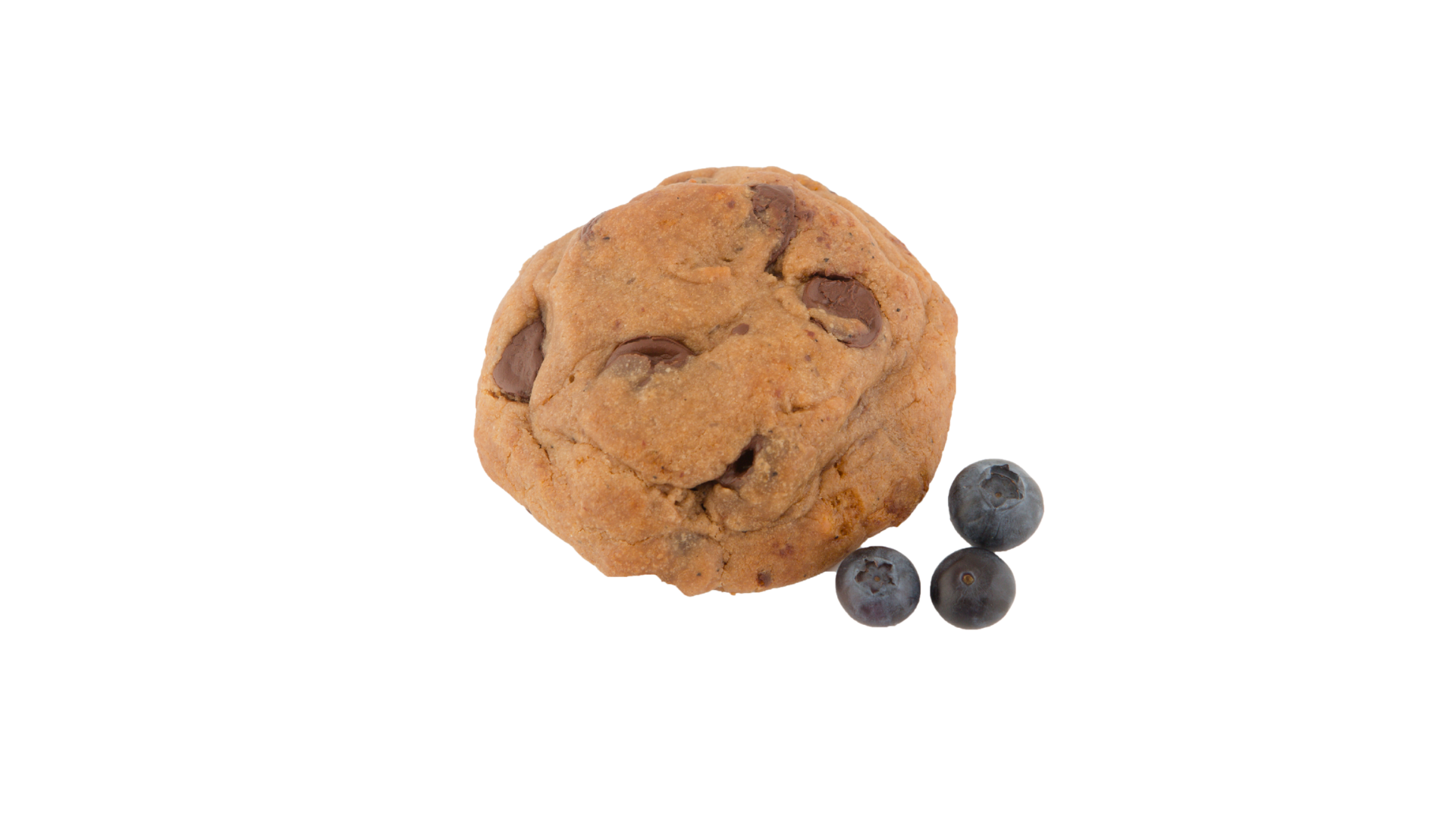 Blueberry Chocolate Chip